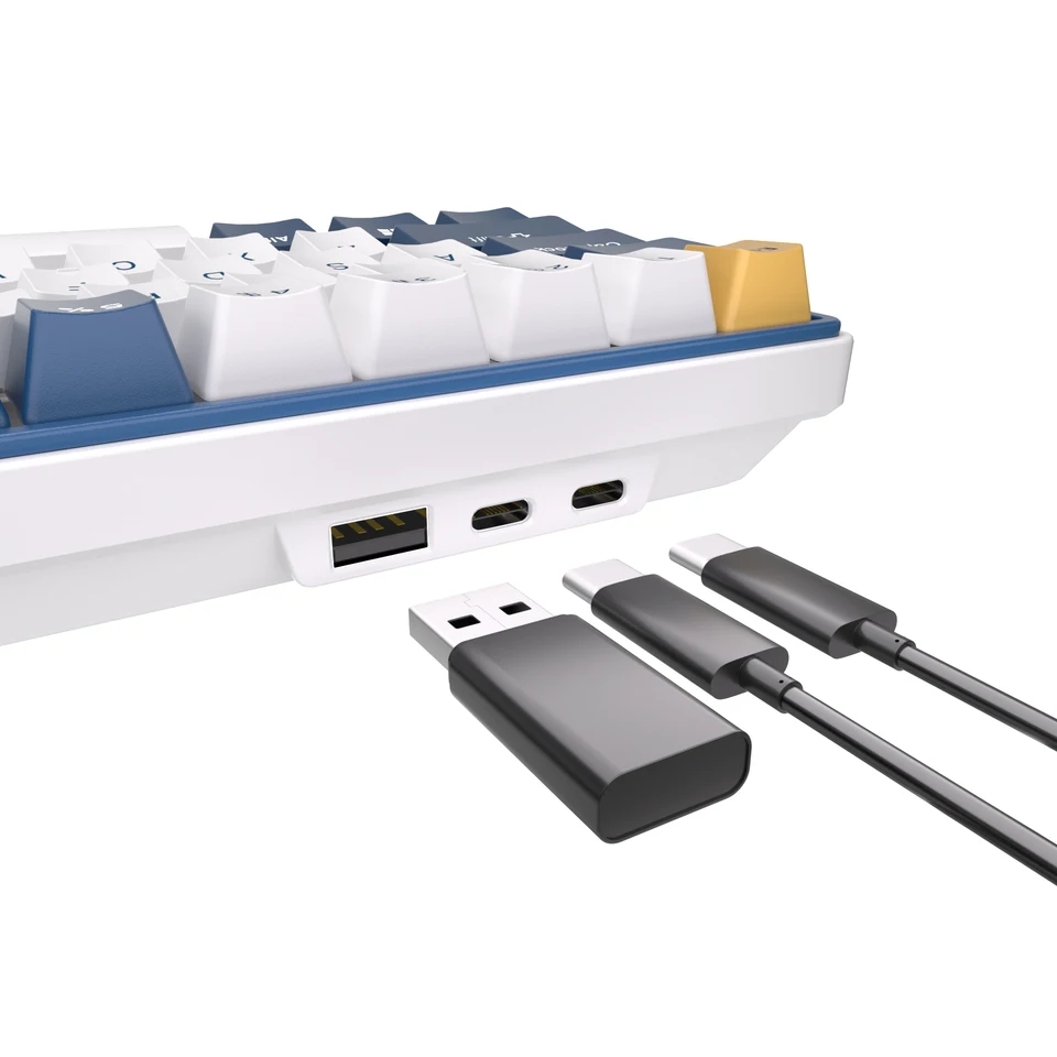 Mechanical Keyboard RGB 61 Programmable Keys