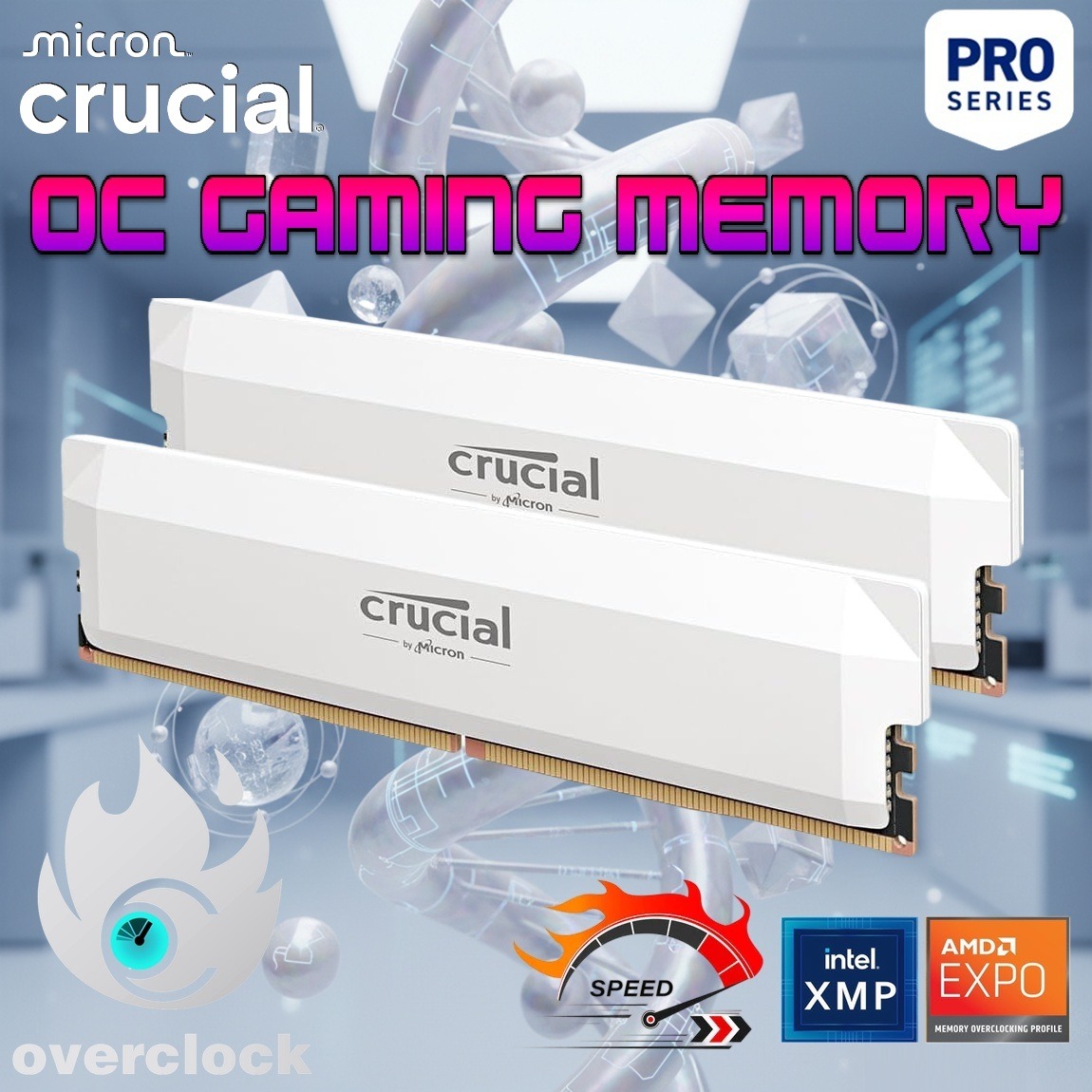 CP2K16G60C36U5W RAM CRUCIAL PRO 32GB (16X2) 6000MHZ CL 36 WHITE DESKTOP Crucial Pro DDR5 32GB RAM Kit (2×16GB) 6000MT/s CL36 1.35V Overclocking Gaming Memory Modules with Intel XMP 3.0 & AMD EXPO